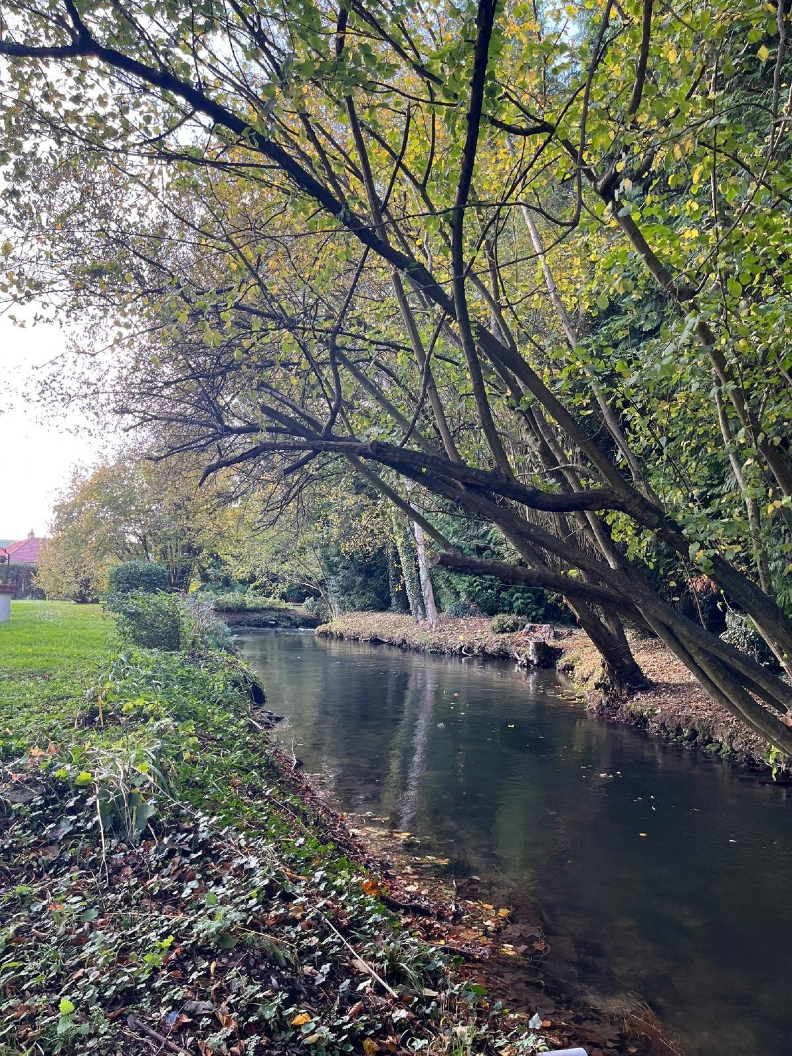 Image_, Maison, Romilly-sur-Andelle, ref :FR1-923