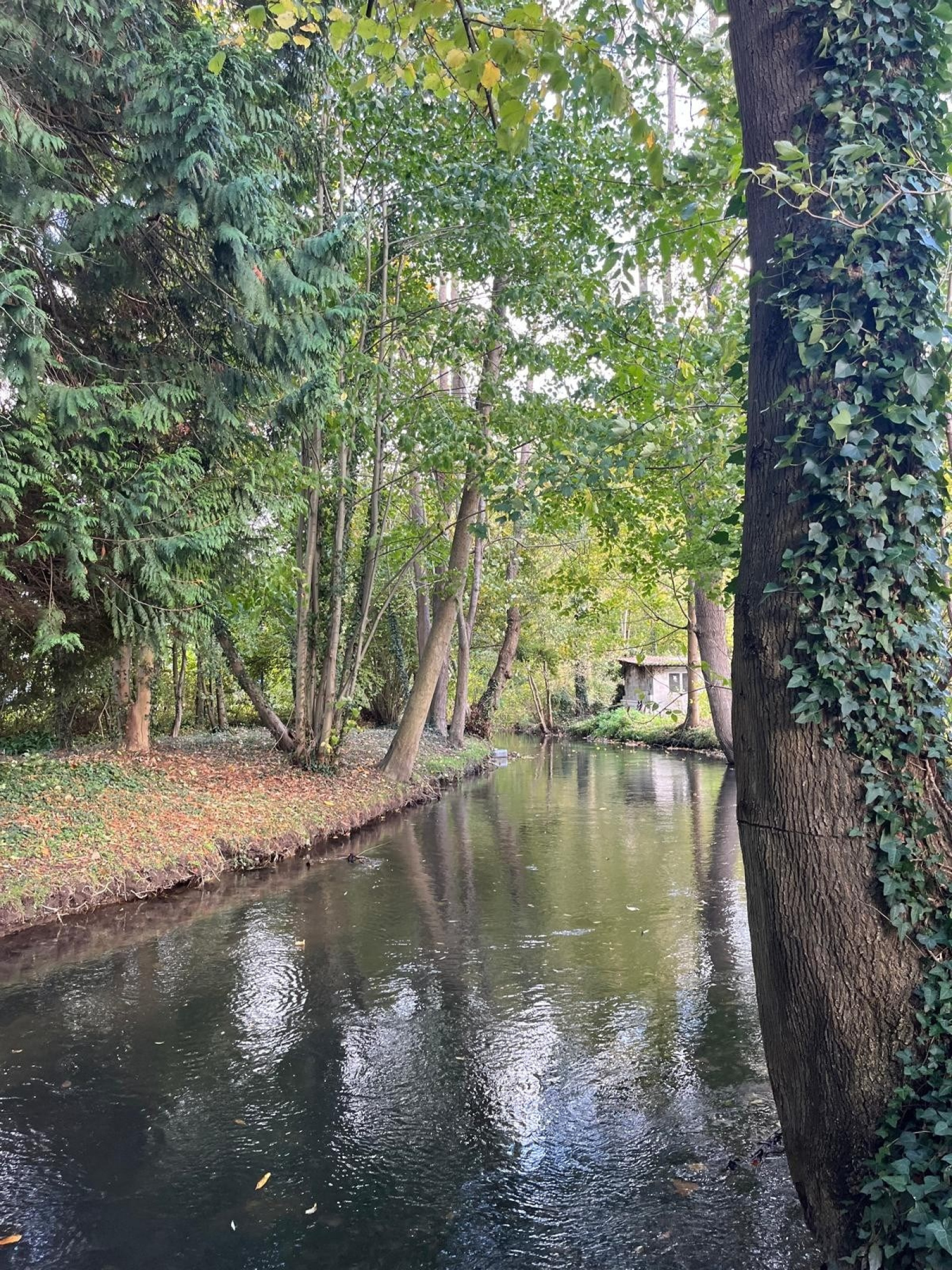 Image_, Maison, Romilly-sur-Andelle, ref :FR1-923