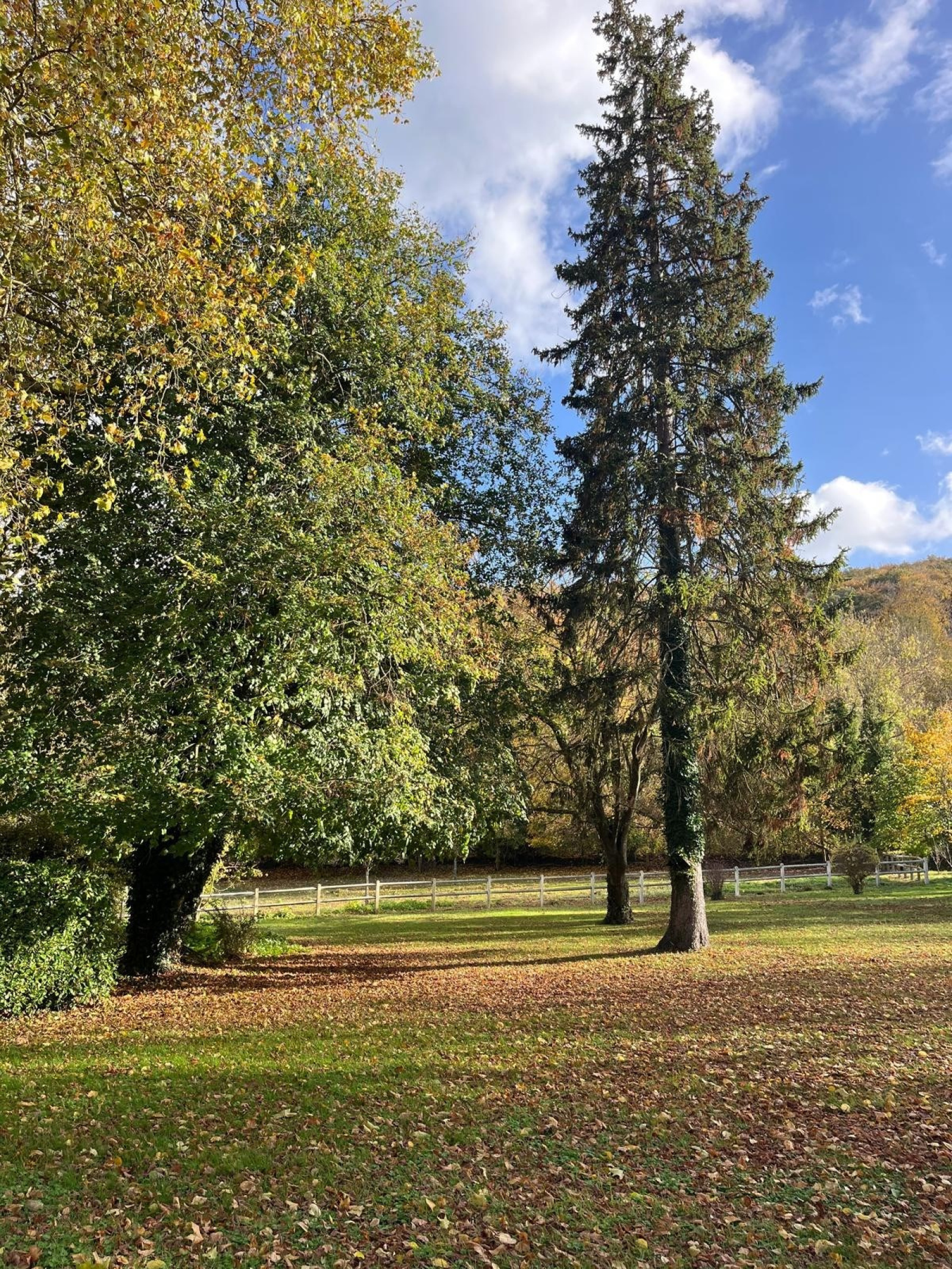 Image_, Maison, Romilly-sur-Andelle, ref :FR1-923