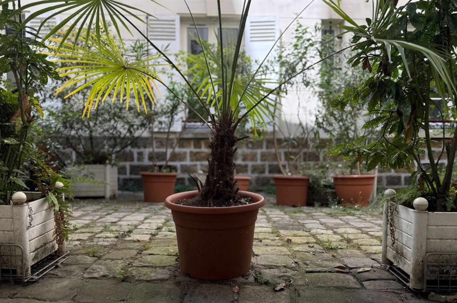 Image_, Appartement, Paris, ref :FR1-859
