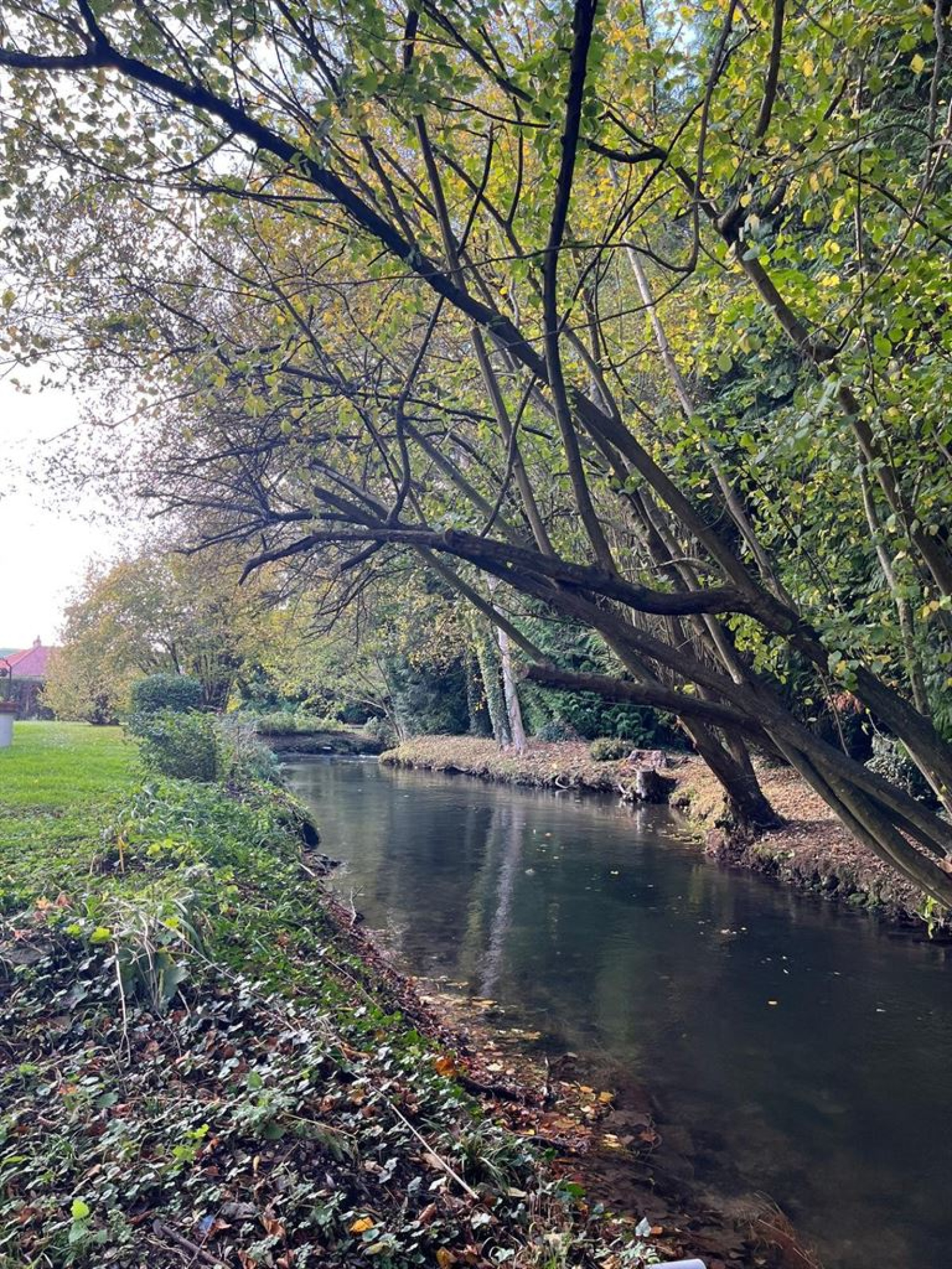 Image_, Maison, Romilly-sur-Andelle, ref :FR1-923