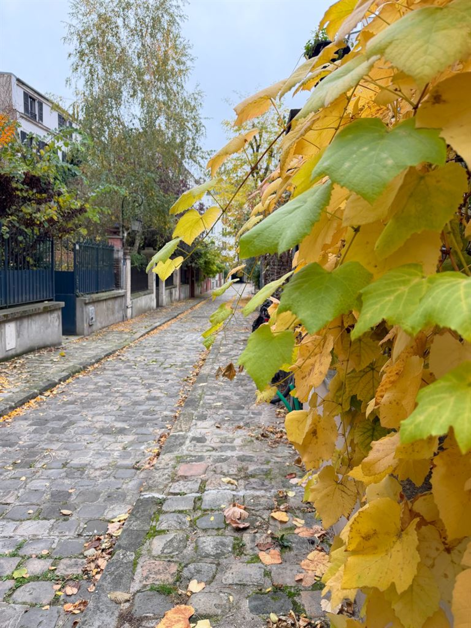 Image_, Appartement, Paris, ref :FR1-949