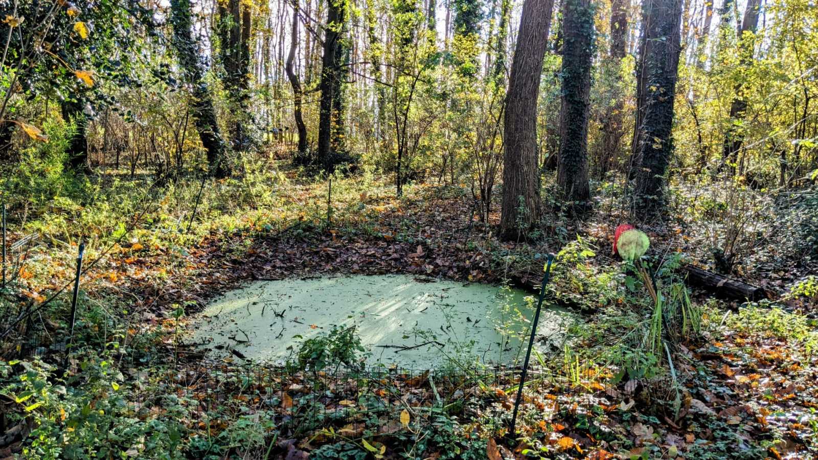 Image_, Maison, Montbazon, ref :FR1-938