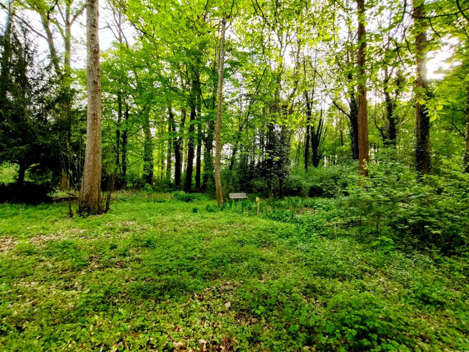 Image_, Maison, Montbazon, ref :FR1-938