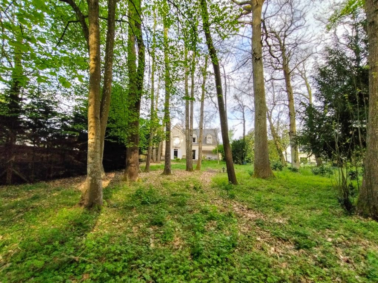 Image_, Maison, Montbazon, ref :FR1-938