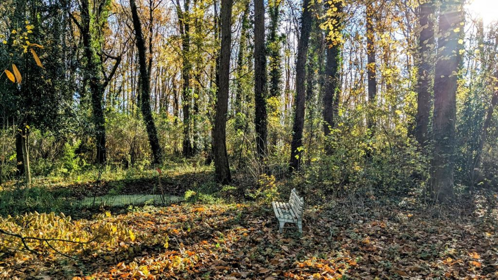 Image_, Maison, Montbazon, ref :FR1-938