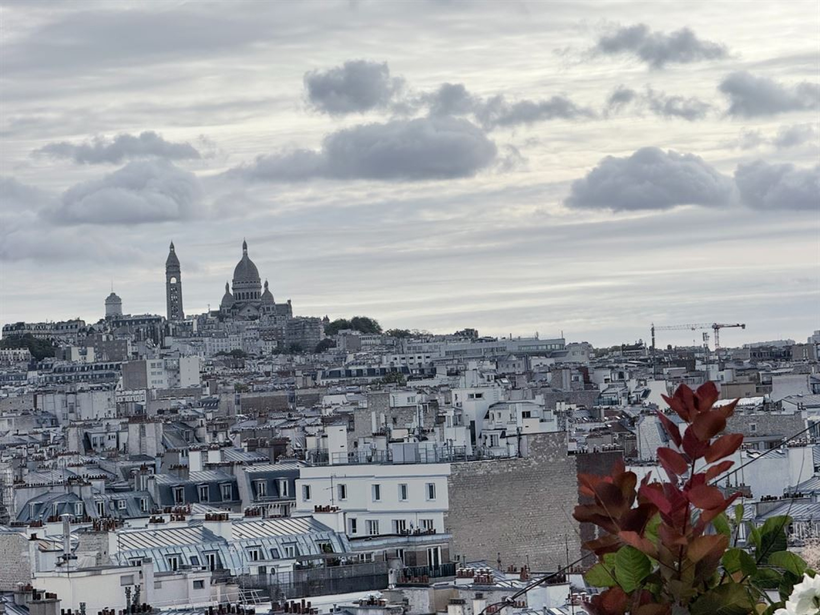Image_, Local commercial, Paris, ref :FR1-1175